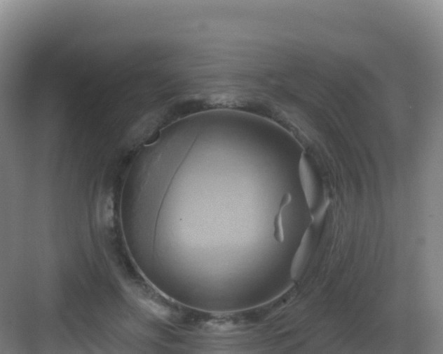 X0000083040502200702091412