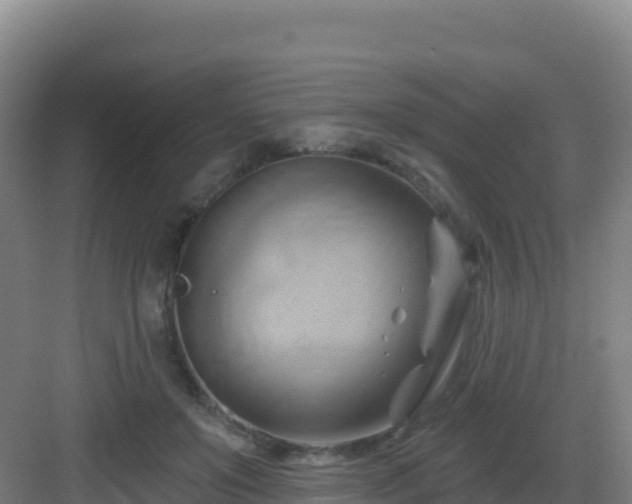 X0000083040503200702091412