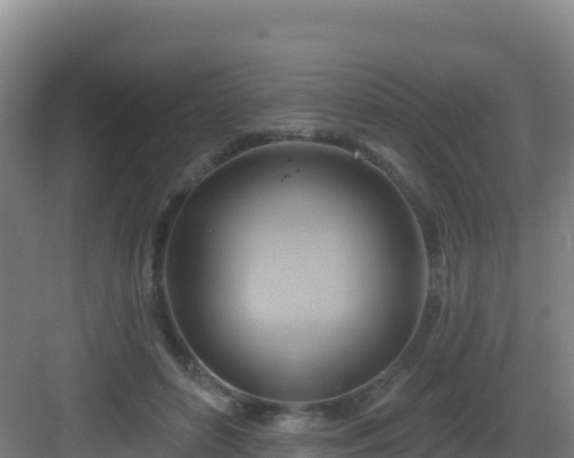 X0000083040504200702091412