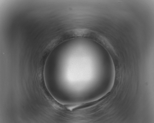 X0000083040505200702091412