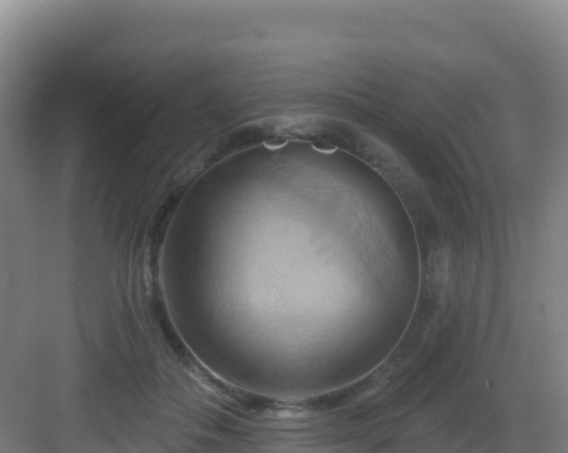 X0000083040506200702091412