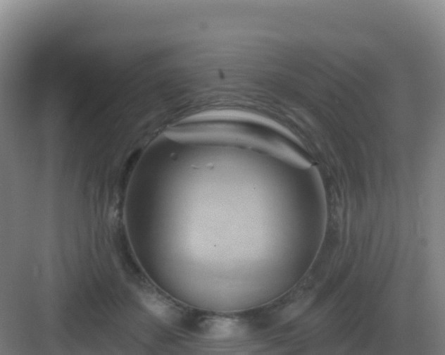 X0000083040507200702091412