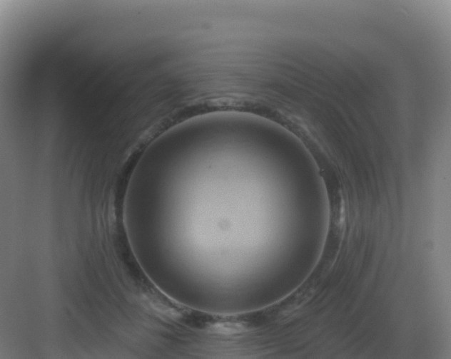 X0000083040508200702091412