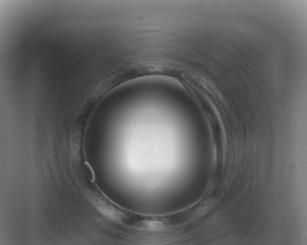 X0000083040509200702091412