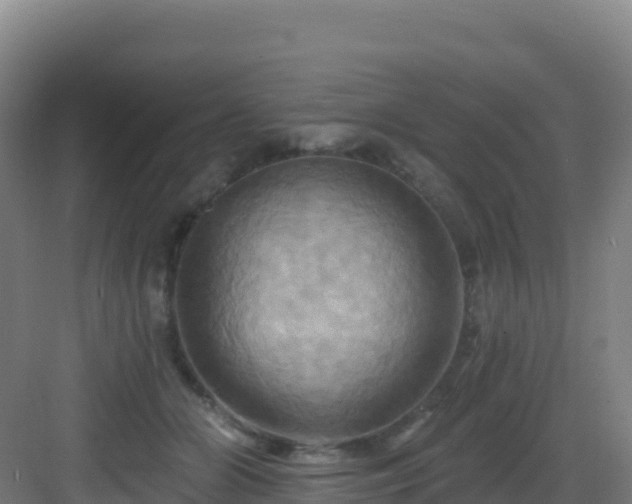 X0000083040510200702091412