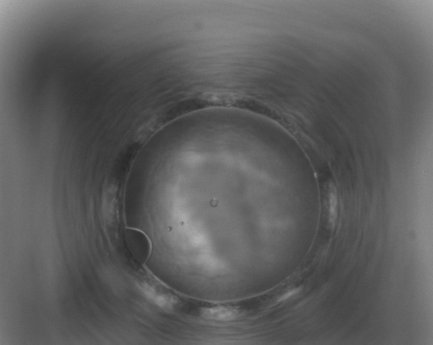 X0000083040511200702091412