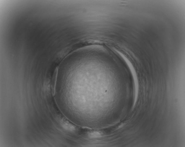 X0000083040513200702091412