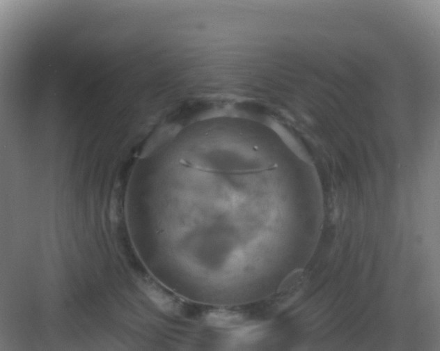 X0000083040515200702091412