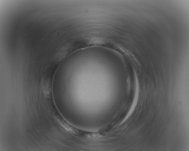 X0000083040517200702091412