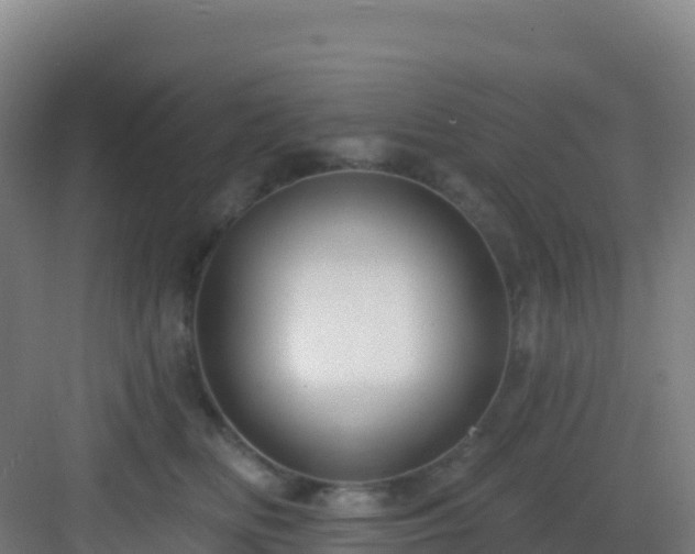 X0000083040518200702091412