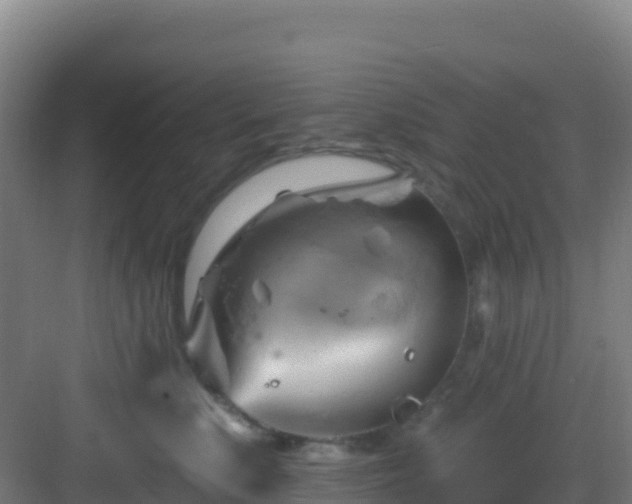 X0000083040519200702091412