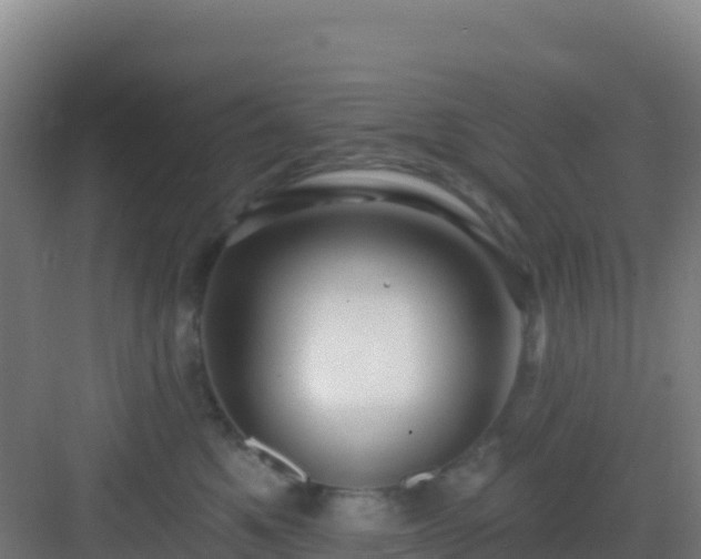 X0000083040521200702091412