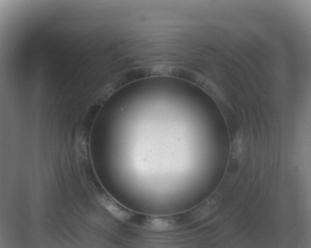 X0000083040522200702091412