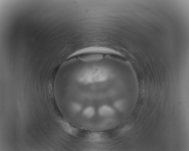 X0000083040523200702091412