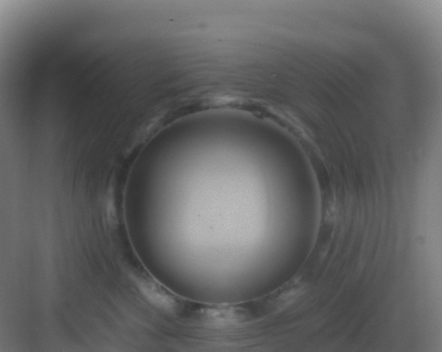 X0000083040524200702091412