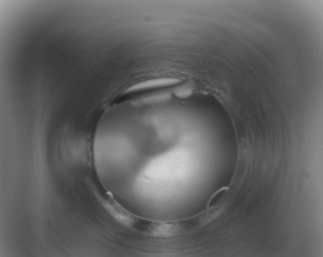 X0000083040527200702091412