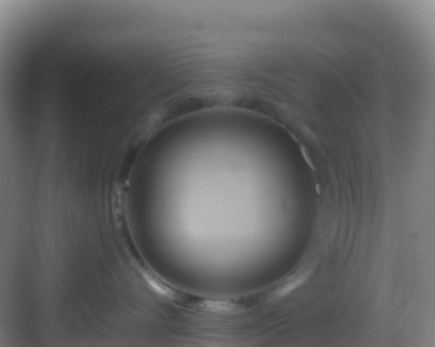 X0000083040528200702091412