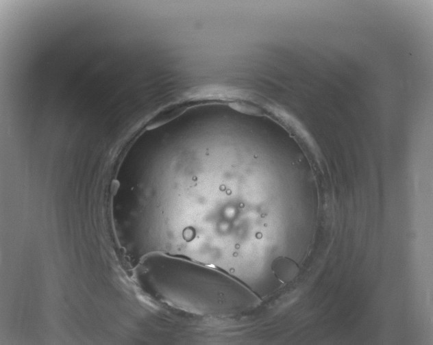 X0000083040529200702091411