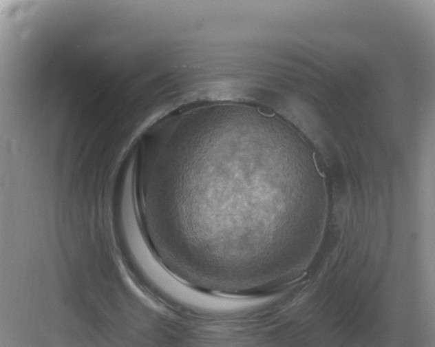 X0000083040530200702091411