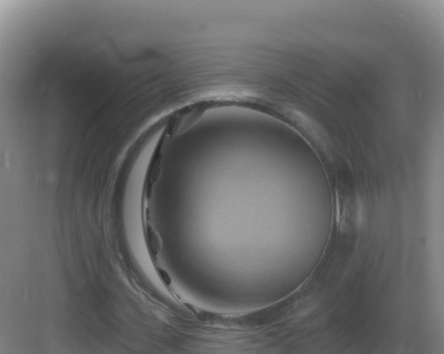 X0000083040531200702091411