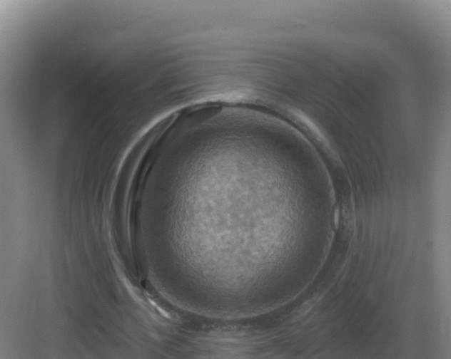 X0000083040532200702091411