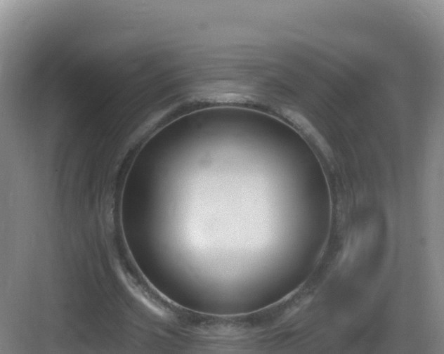 X0000083040533200702091411