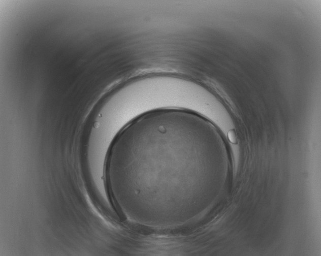 X0000083040534200702091411