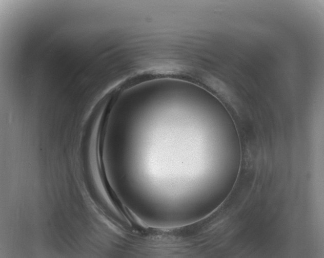 X0000083040535200702091411