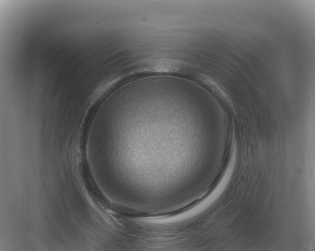 X0000083040536200702091411