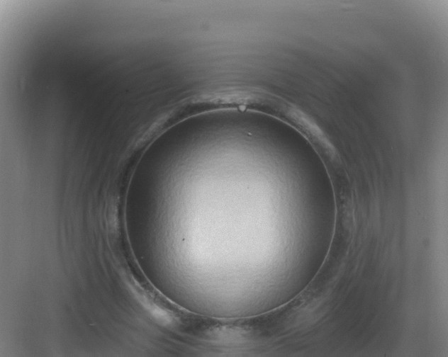 X0000083040537200702091411