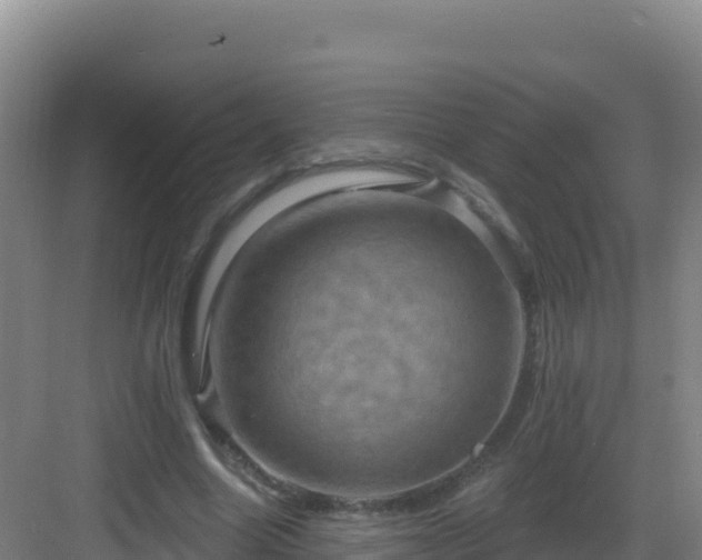 X0000083040538200702091411