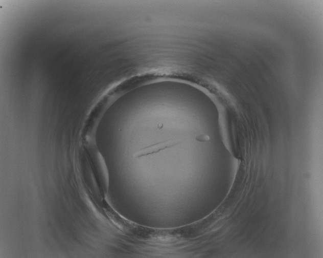 X0000083040540200702091411