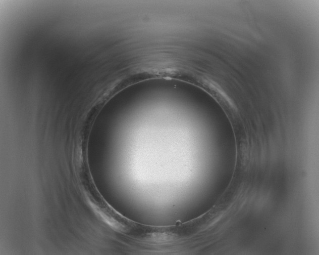 X0000083040541200702091411