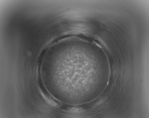 X0000083040542200702091411