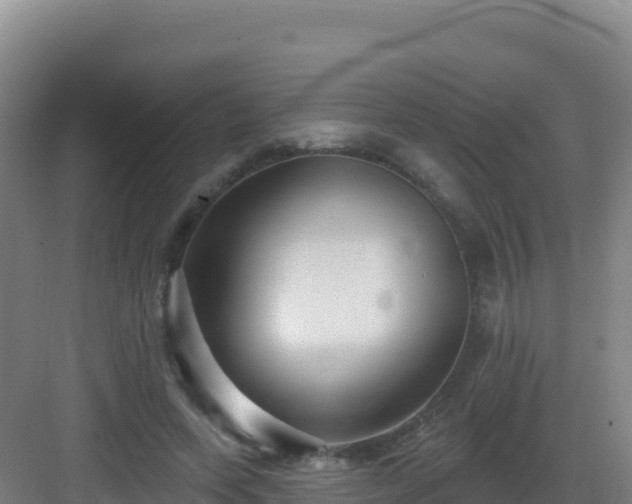 X0000083040543200702091411