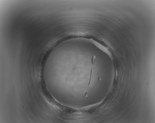 X0000083040544200702091411