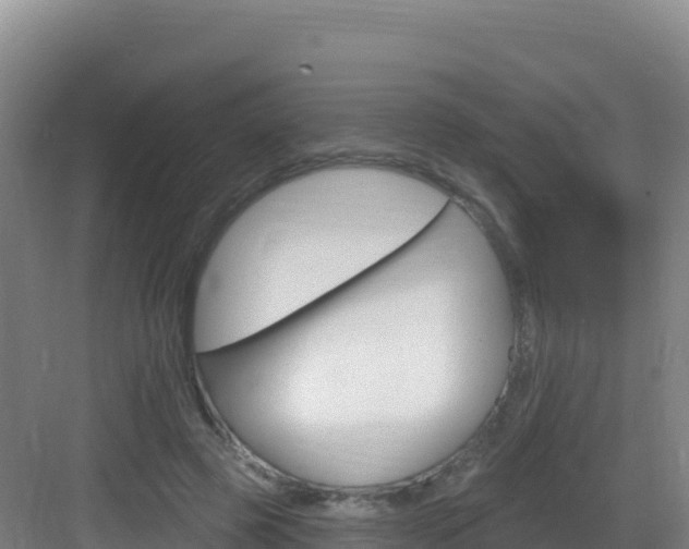 X0000083040545200702091411