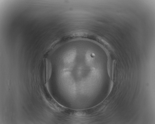 X0000083040546200702091411