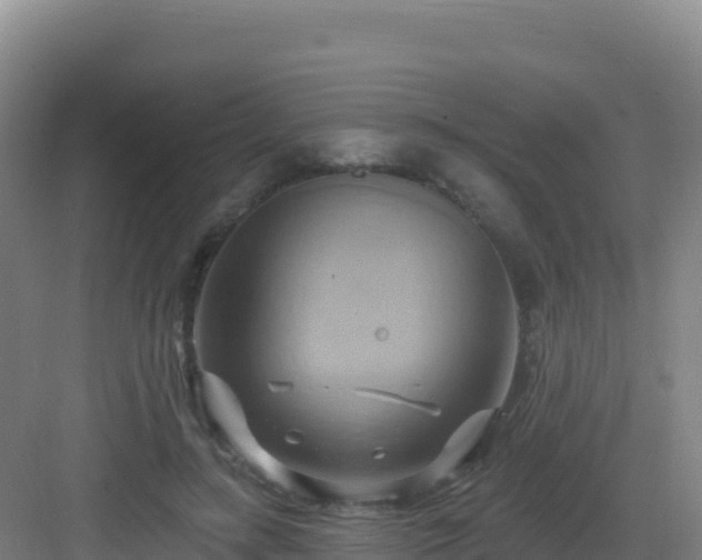 X0000083040547200702091411