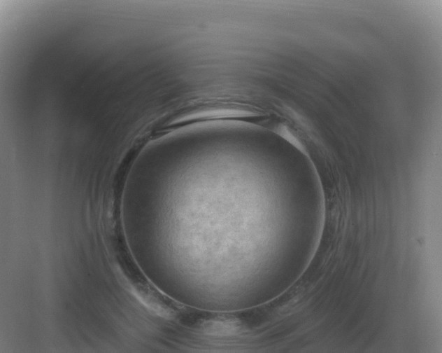 X0000083040548200702091411