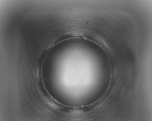 X0000083040549200702091411