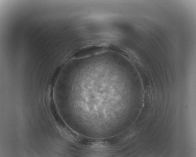 X0000083040550200702091412