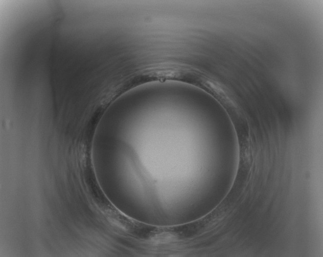 X0000083040551200702091412