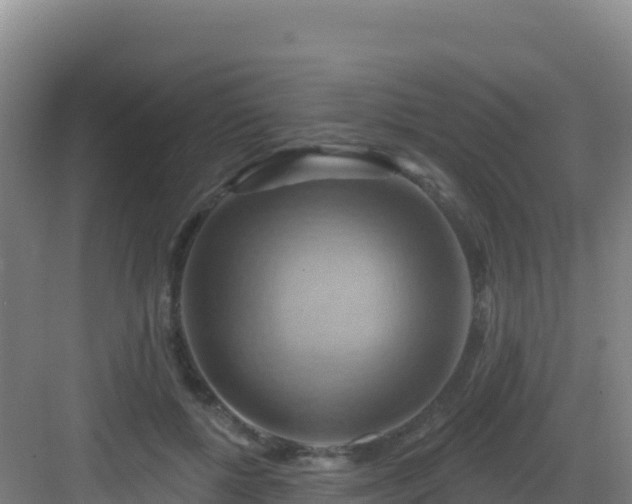 X0000083040552200702091412