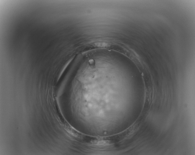 X0000083040553200702091412