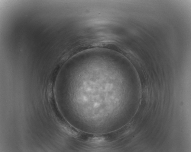 X0000083040554200702091412