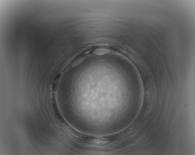 X0000083040555200702091412