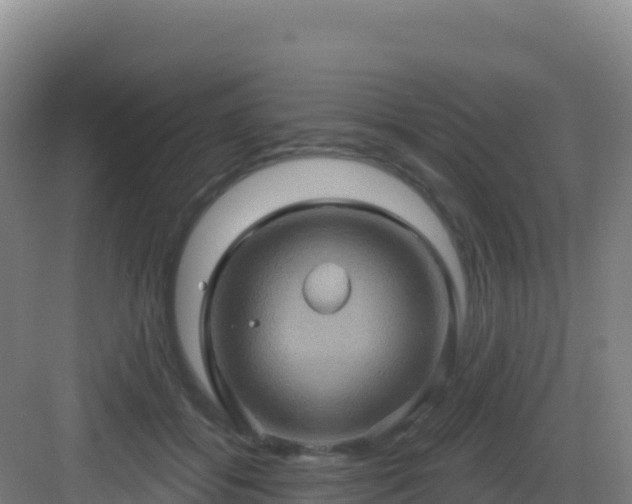 X0000083040556200702091412