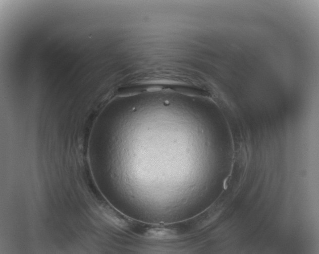 X0000083040557200702091412