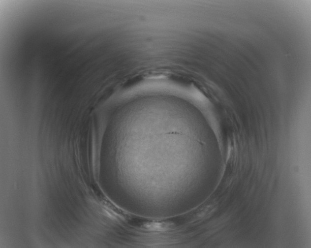 X0000083040558200702091412